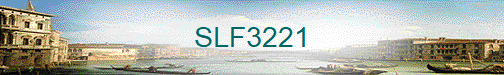 SLF3221