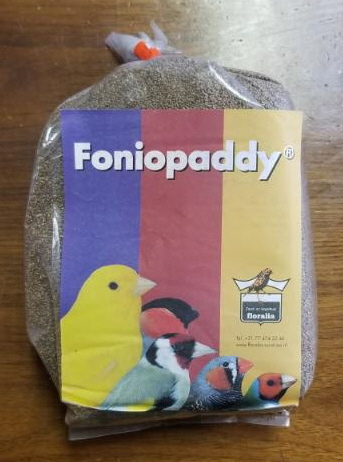 foniopaddy for birds