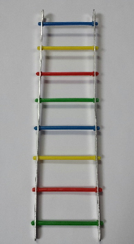 LADDER